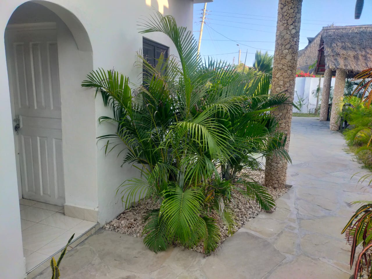 Arica Palm Hotel Gallery Image